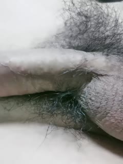 adult